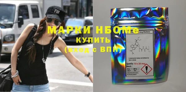 стаф Аркадак