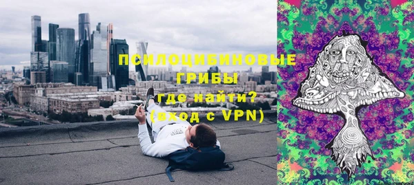 прущие грибы Арсеньев