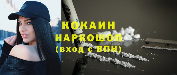 прущие грибы Арсеньев