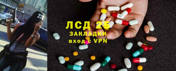 прущие грибы Арсеньев