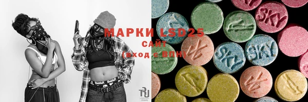 стаф Аркадак