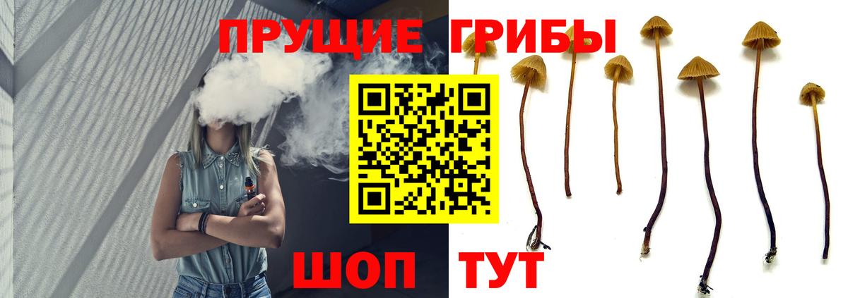 Псилоцибиновые грибы прущие грибы  Галлюциногенные грибы Psilocybine cubensis  Вход с VPN  Лесной 
